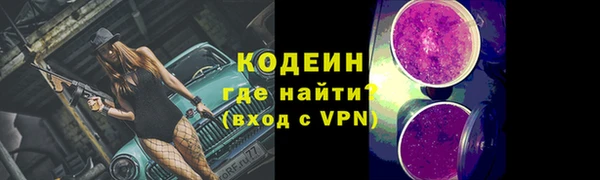 индика Протвино